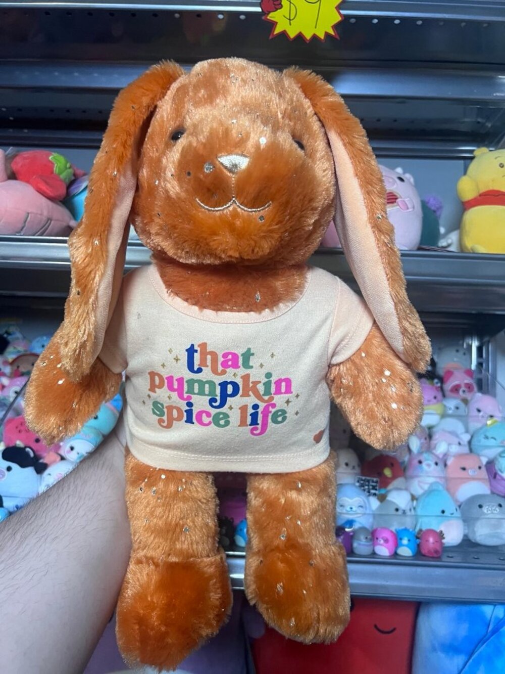 Build a Bear Pumpkin Pawlette bunny plush with that pumpkin spice life shirt